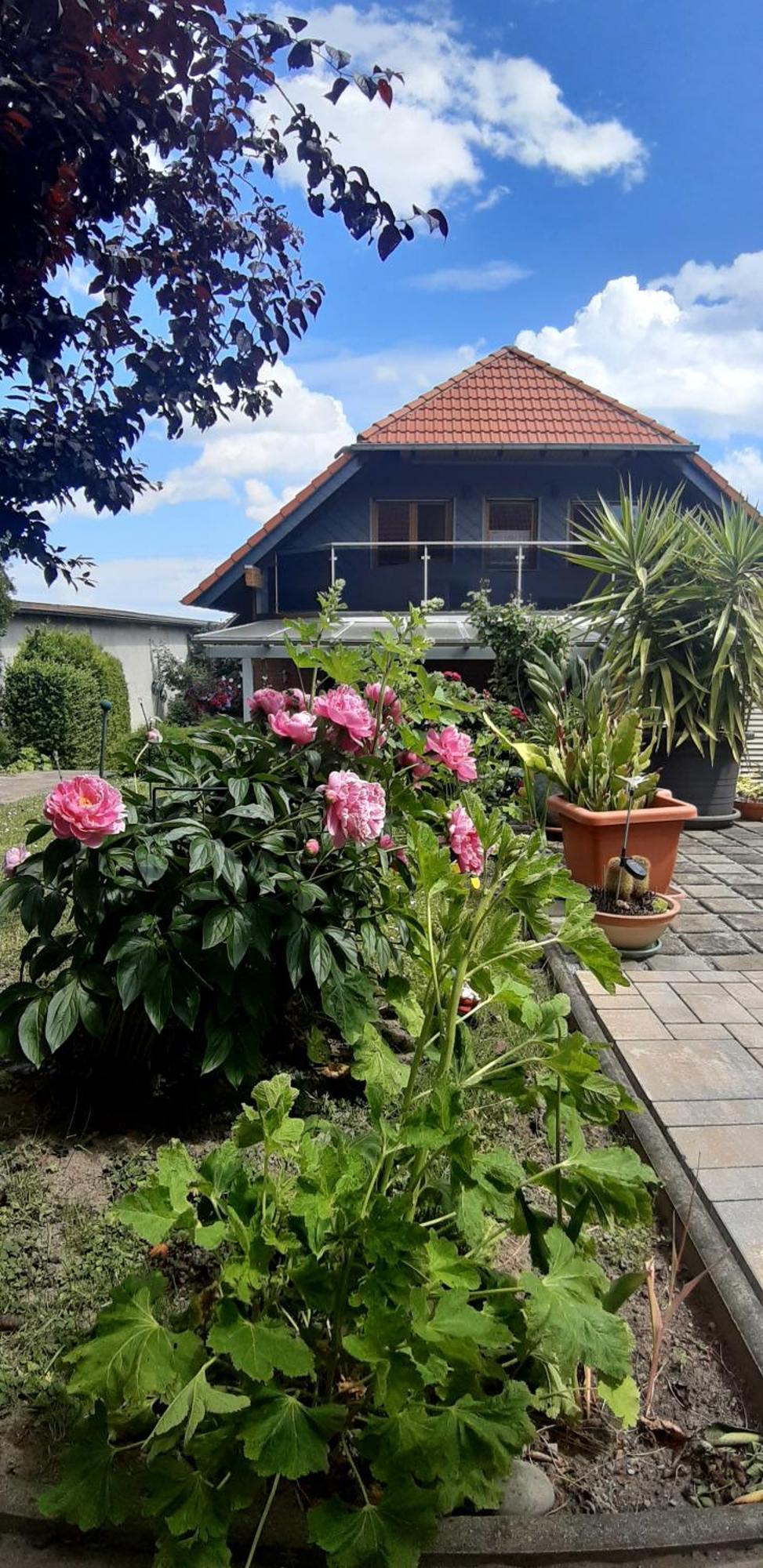 Ferienwohnung Relax Ilsenburg Exterior foto