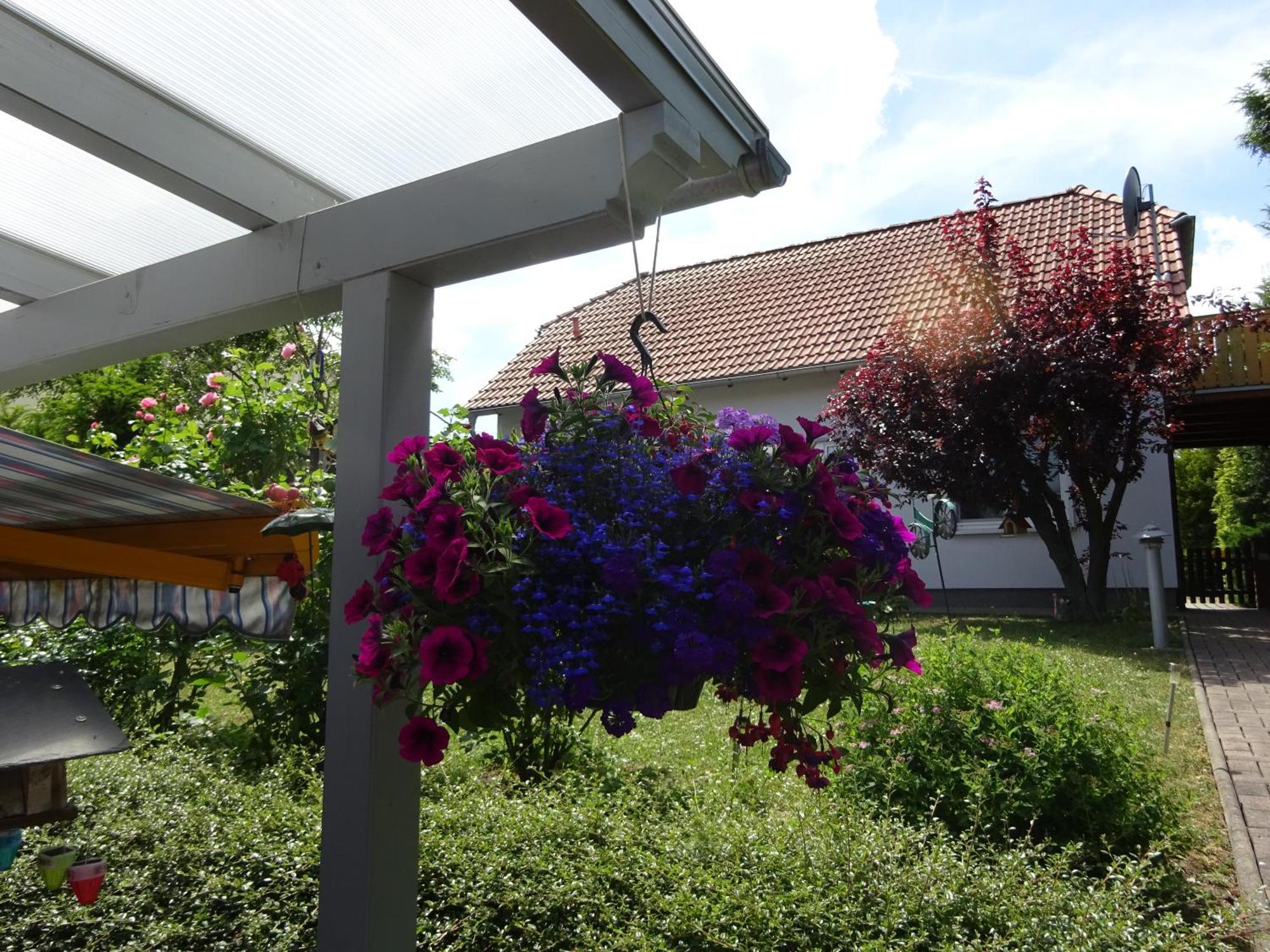 Ferienwohnung Relax Ilsenburg Exterior foto